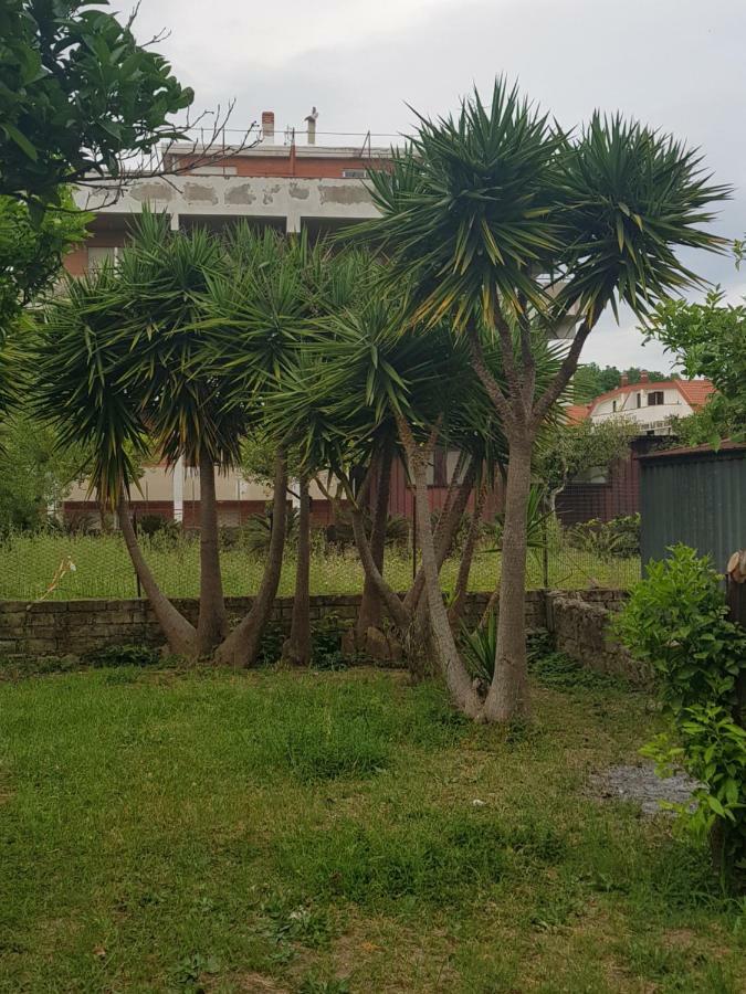 "Il Nespolo" Scauri (Lazio) Exterior foto